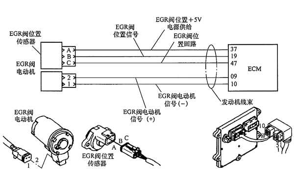 發(fā)電機(jī)EGR閥位置傳感器電路.png